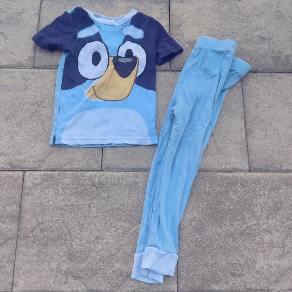 Bluey Cartoon Pajamas Size 4